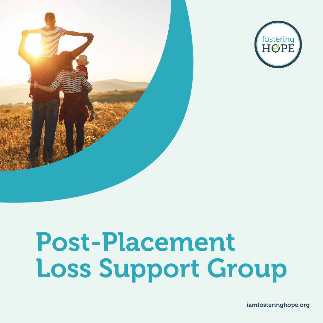 Post-Placement Lost Support Group